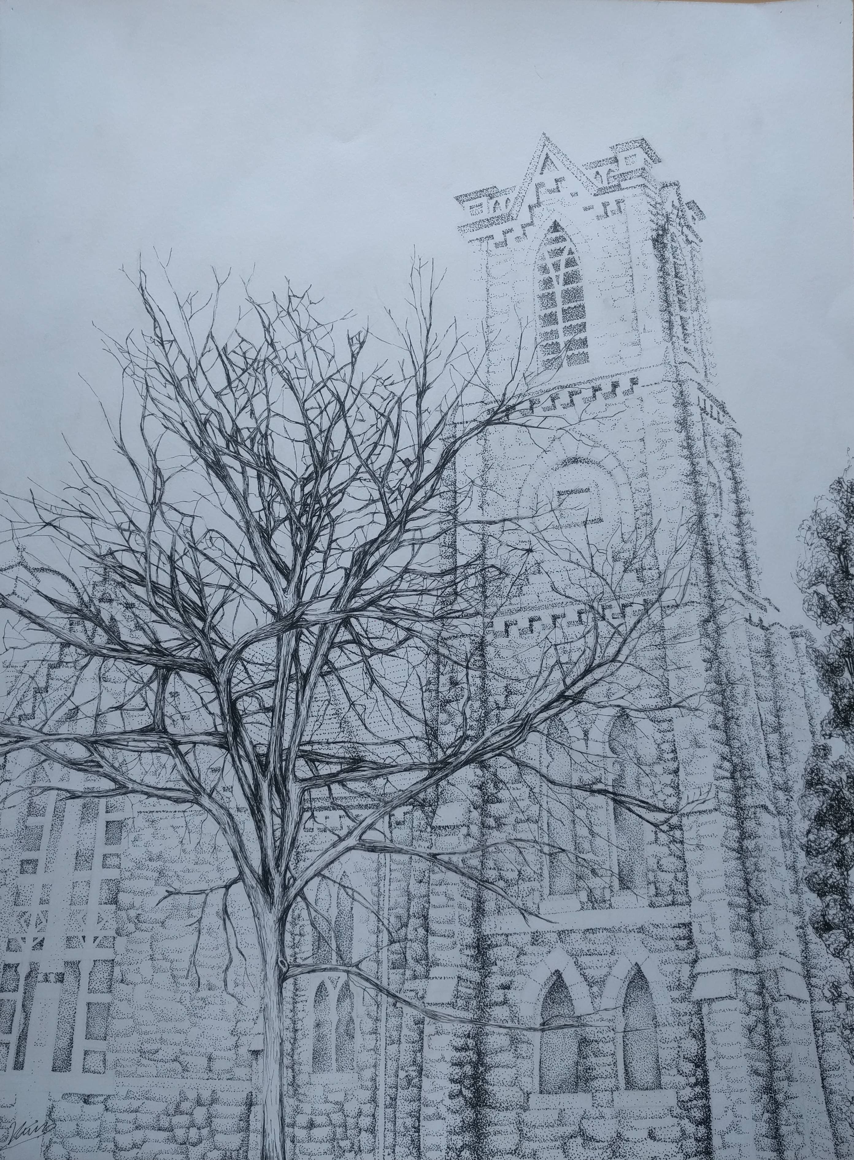 Gothic cathedral pencil drawing