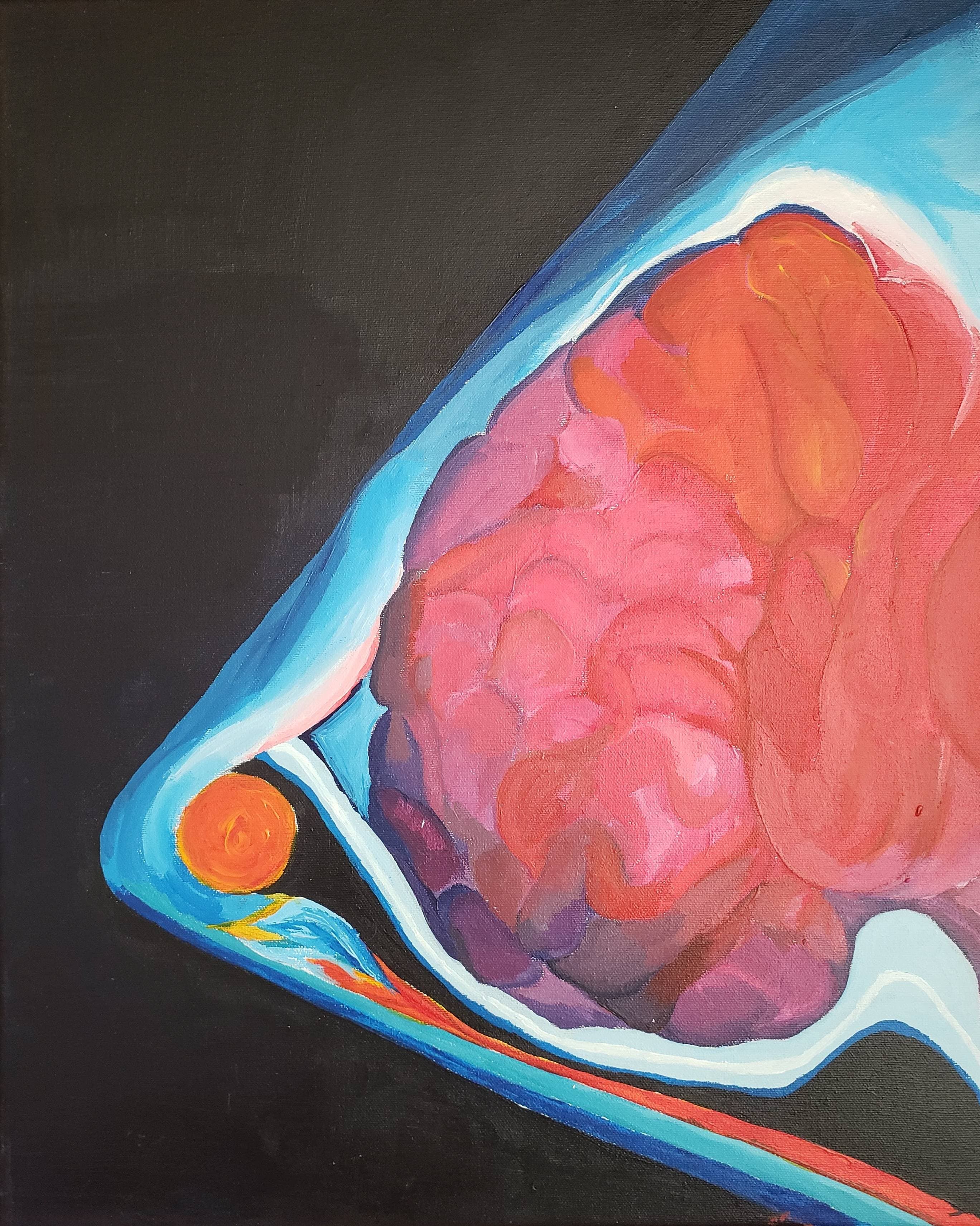 Anatomical brain painting
